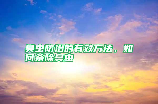 臭蟲防治的有效方法，如何殺除臭蟲