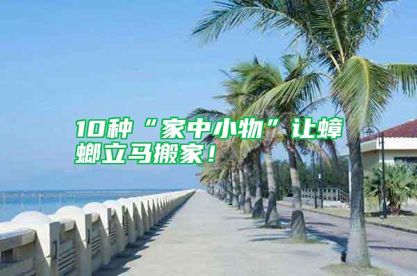 10種“家中小物”讓蟑螂立馬搬家！