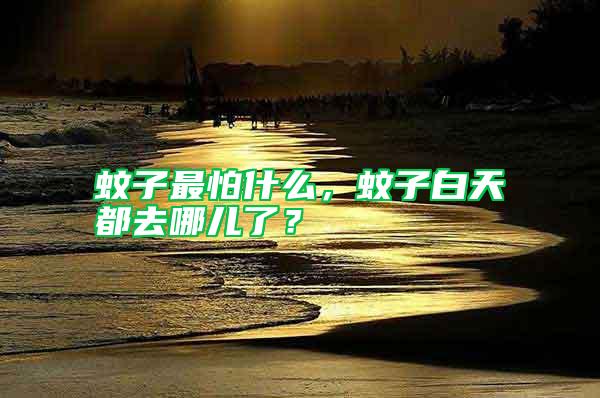 蚊子最怕什么，蚊子白天都去哪兒了？
