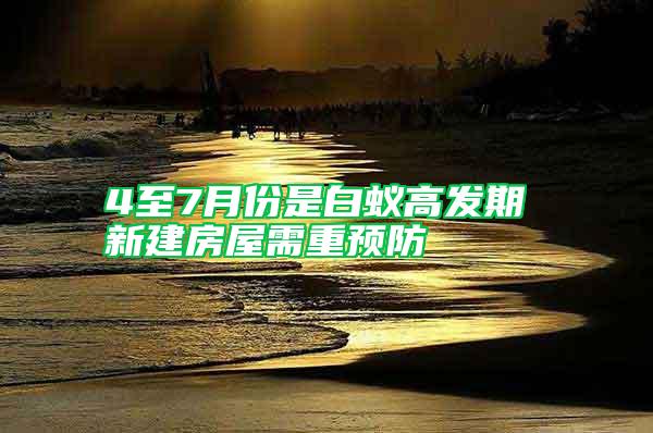 4至7月份是白蟻高發期 新建房屋需重預防