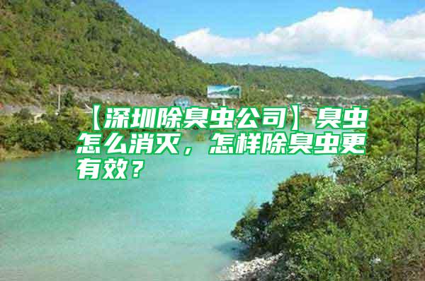 【深圳除臭蟲公司】臭蟲怎么消滅，怎樣除臭蟲更有效？