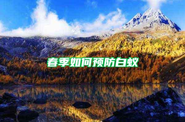 春季如何預防白蟻