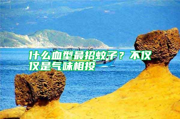什么血型最招蚊子？不僅僅是氣味相投