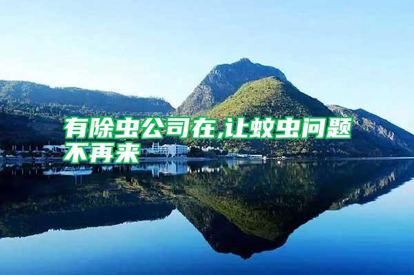 有除蟲公司在,讓蚊蟲問題不再來