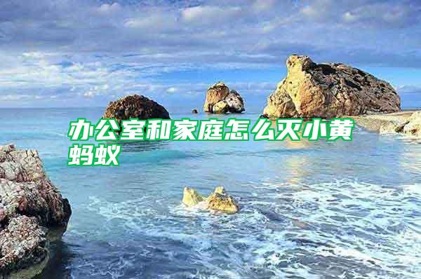辦公室和家庭怎么滅小黃螞蟻