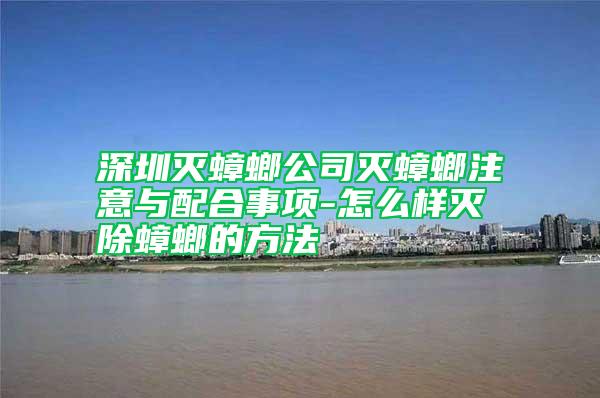深圳滅蟑螂公司滅蟑螂注意與配合事項-怎么樣滅除蟑螂的方法