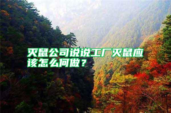 滅鼠公司說(shuō)說(shuō)工廠滅鼠應(yīng)該怎么何做？
