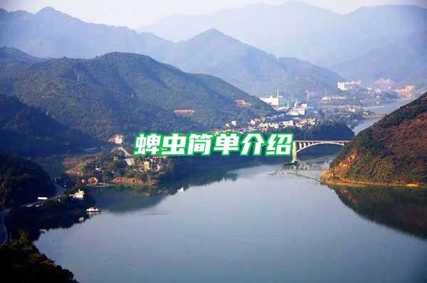 蜱蟲簡單介紹