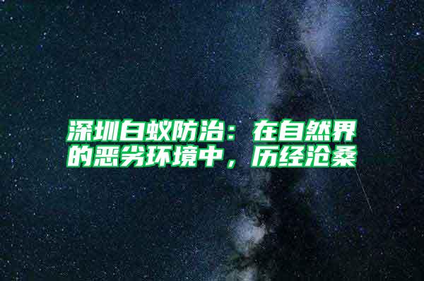 深圳白蟻防治：在自然界的惡劣環境中，歷經滄桑