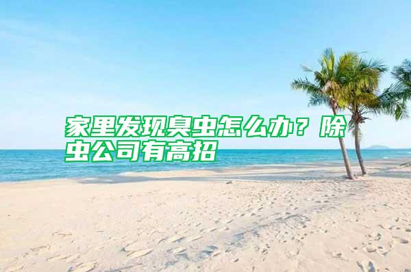 家里發現臭蟲怎么辦？除蟲公司有高招