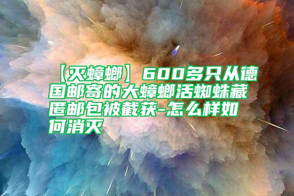 【滅蟑螂】600多只從德國郵寄的大蟑螂活蜘蛛藏匿郵包被截獲-怎么樣如何消滅