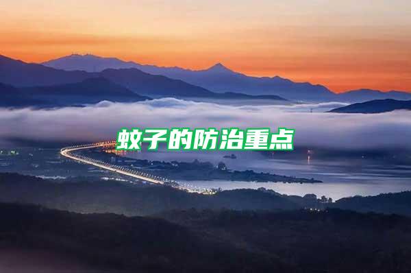 蚊子的防治重點