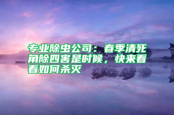 專業除蟲公司：春季清死角除四害是時候，快來看看如何殺滅