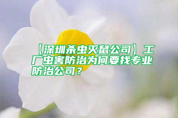 【深圳殺蟲滅鼠公司】工廠蟲害防治為何要找專業防治公司？