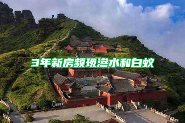 3年新房頻現滲水和白蟻
