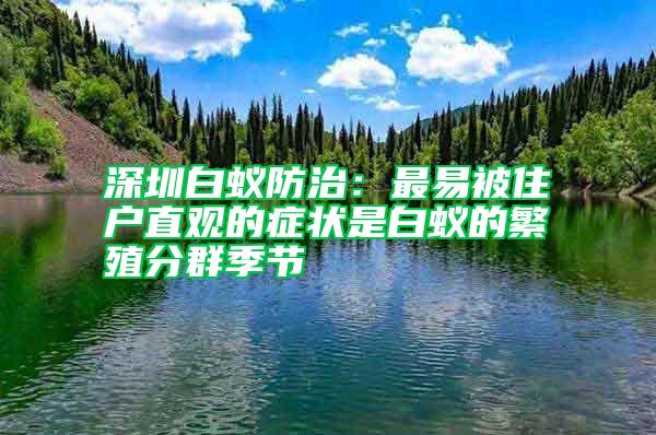 深圳白蟻防治：最易被住戶直觀的癥狀是白蟻的繁殖分群季節(jié)