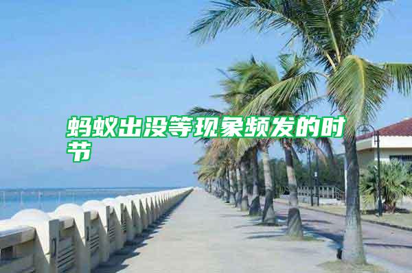 螞蟻出沒等現(xiàn)象頻發(fā)的時節(jié)