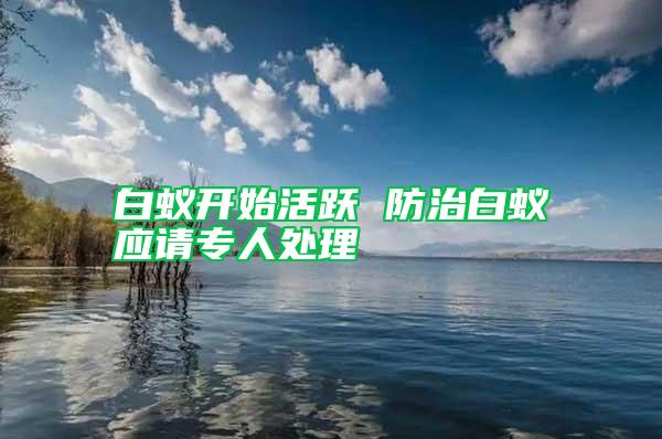 白蟻開始活躍 防治白蟻應請專人處理