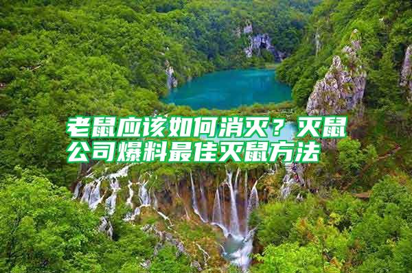 老鼠應該如何消滅？滅鼠公司爆料最佳滅鼠方法
