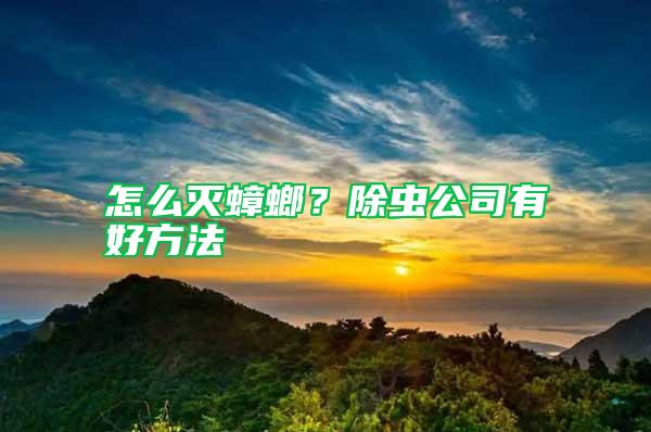 怎么滅蟑螂？除蟲公司有好方法