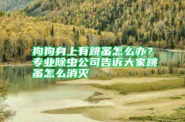 狗狗身上有跳蚤怎么辦？專業除蟲公司告訴大家跳蚤怎么消滅