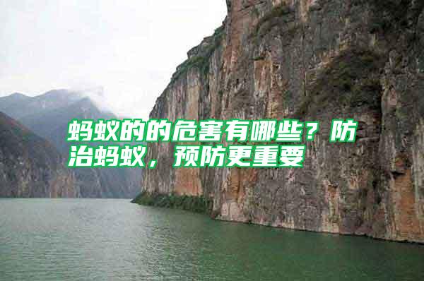 螞蟻的的危害有哪些？防治螞蟻，預防更重要