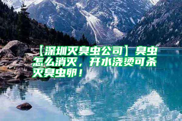【深圳滅臭蟲公司】臭蟲怎么消滅，開水澆燙可殺滅臭蟲卵！