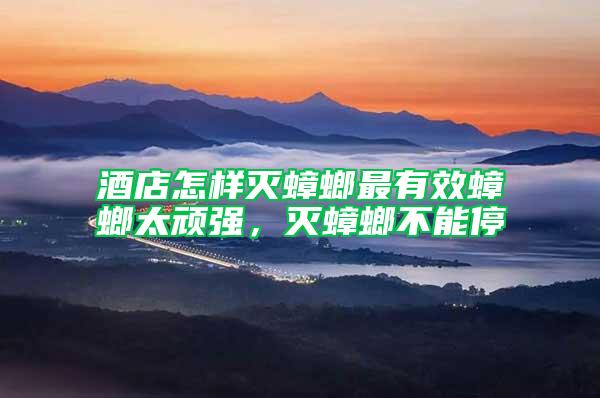 酒店怎樣滅蟑螂最有效蟑螂太頑強，滅蟑螂不能停