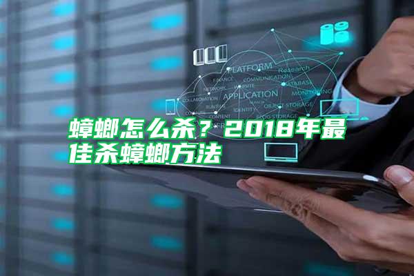 蟑螂怎么殺？2018年最佳殺蟑螂方法