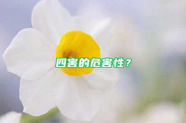 四害的危害性？