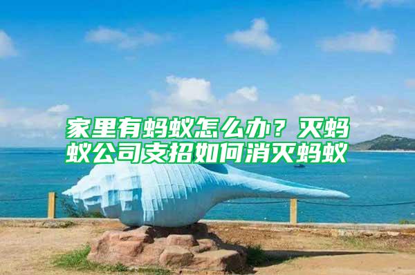 家里有螞蟻怎么辦？滅螞蟻公司支招如何消滅螞蟻