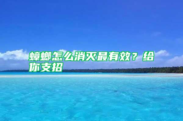 蟑螂怎么消滅最有效？給你支招