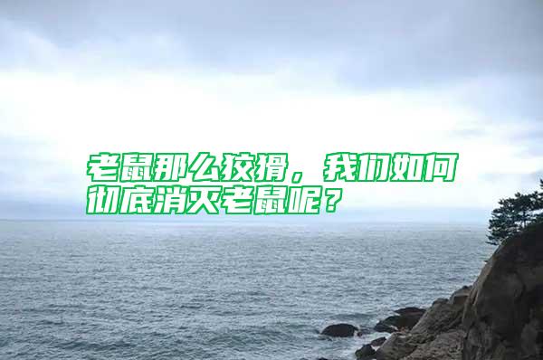 老鼠那么狡猾，我們如何徹底消滅老鼠呢？