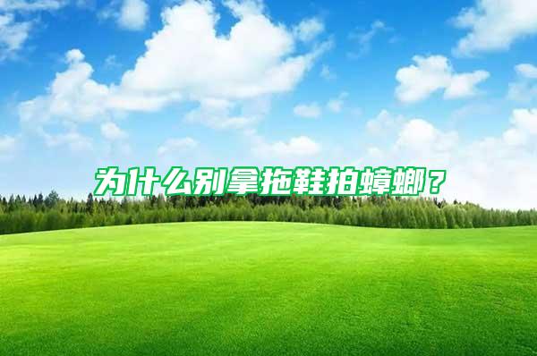 為什么別拿拖鞋拍蟑螂？