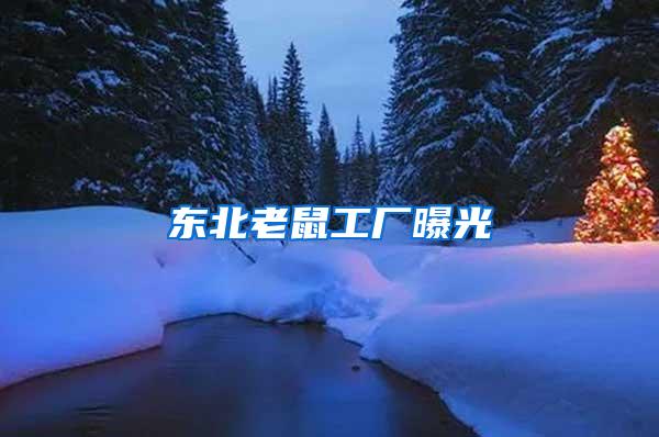 東北老鼠工廠曝光