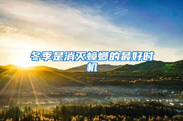 冬季是消滅蟑螂的最好時(shí)機(jī)