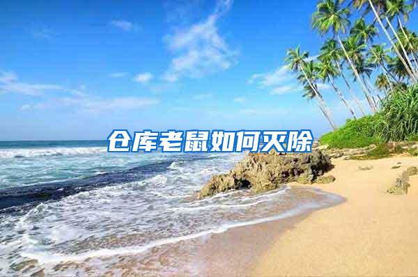 倉庫老鼠如何滅除