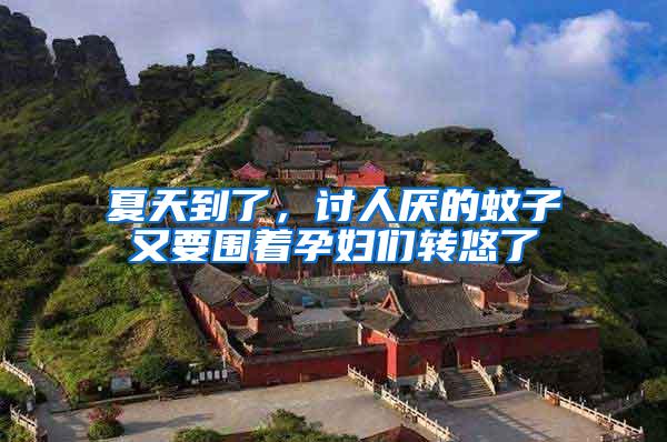 夏天到了，討人厭的蚊子又要圍著孕婦們轉(zhuǎn)悠了