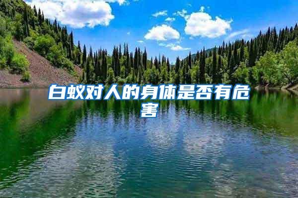 白蟻對人的身體是否有危害