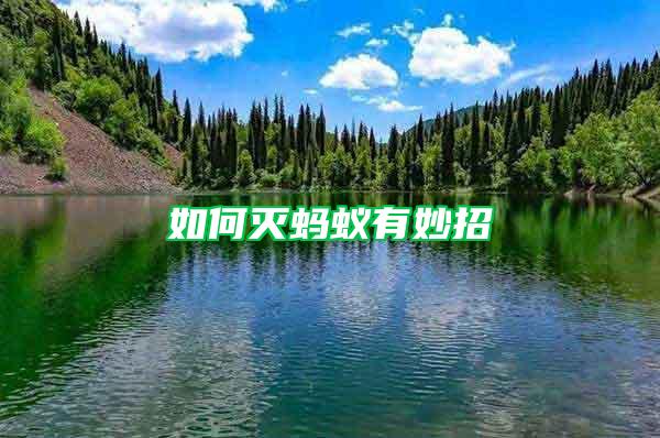 如何滅螞蟻有妙招