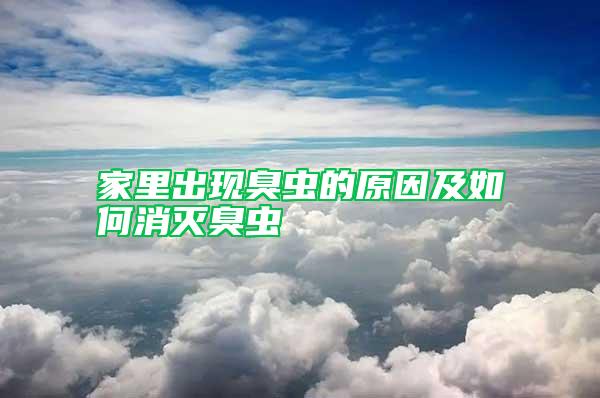 家里出現(xiàn)臭蟲的原因及如何消滅臭蟲