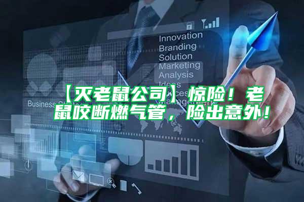 【滅老鼠公司】驚險！老鼠咬斷燃氣管，險出意外！