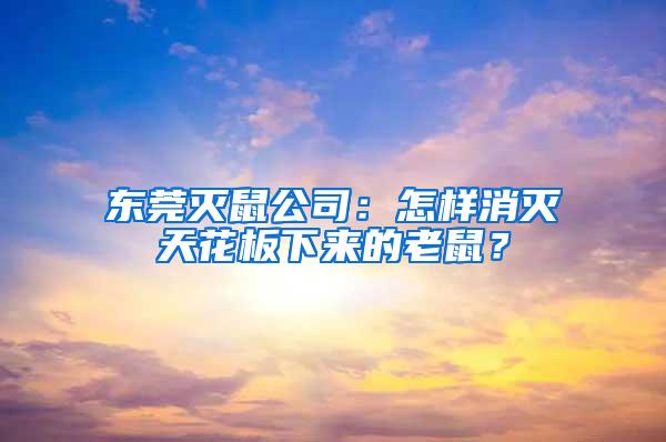 東莞滅鼠公司：怎樣消滅天花板下來(lái)的老鼠？