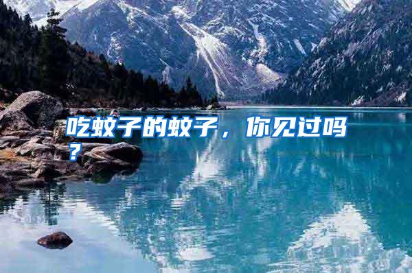 吃蚊子的蚊子，你見過嗎？