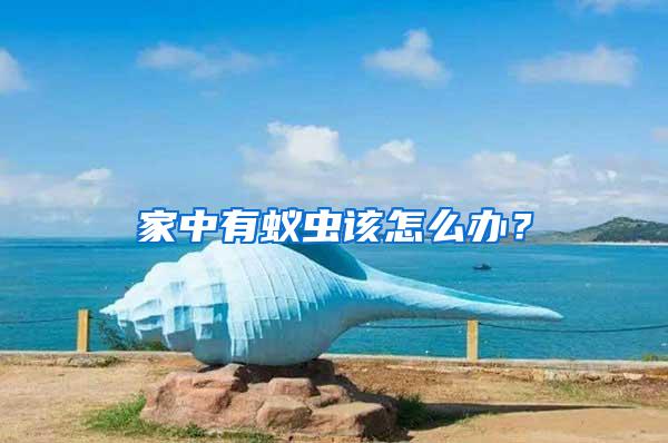家中有蟻蟲該怎么辦？