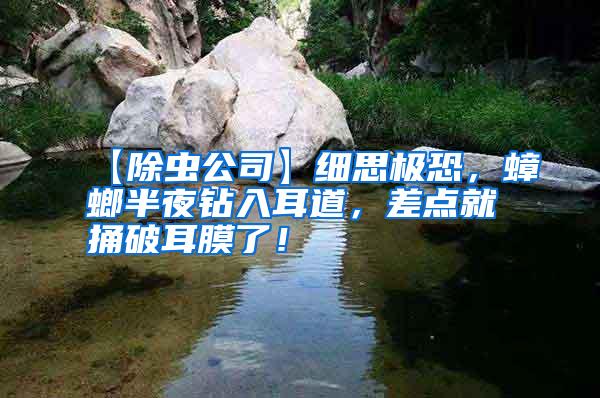 【除蟲公司】細思極恐，蟑螂半夜鉆入耳道，差點就捅破耳膜了！