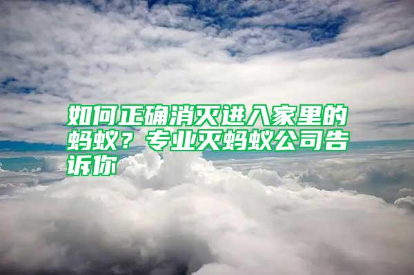 如何正確消滅進入家里的螞蟻？專業滅螞蟻公司告訴你