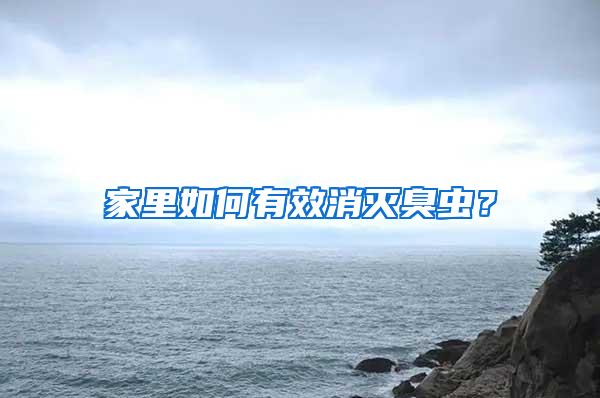 家里如何有效消滅臭蟲？