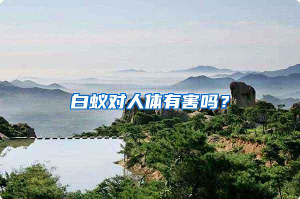 白蟻對人體有害嗎？