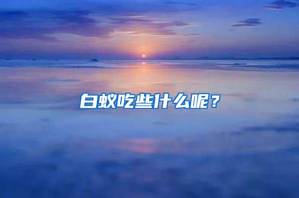 白蟻吃些什么呢？